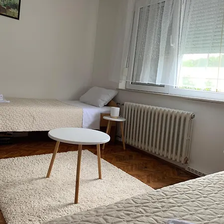 Pansion Dušica 3* Bor