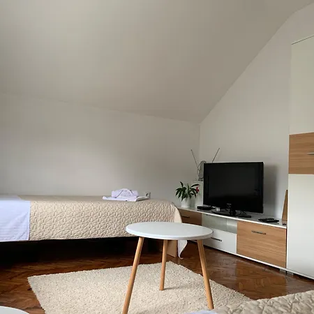 Penzion Pansion Dušica Bor